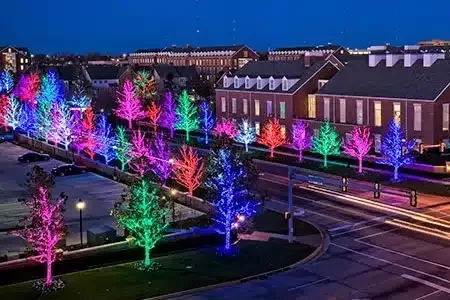 Christmas Light Tours