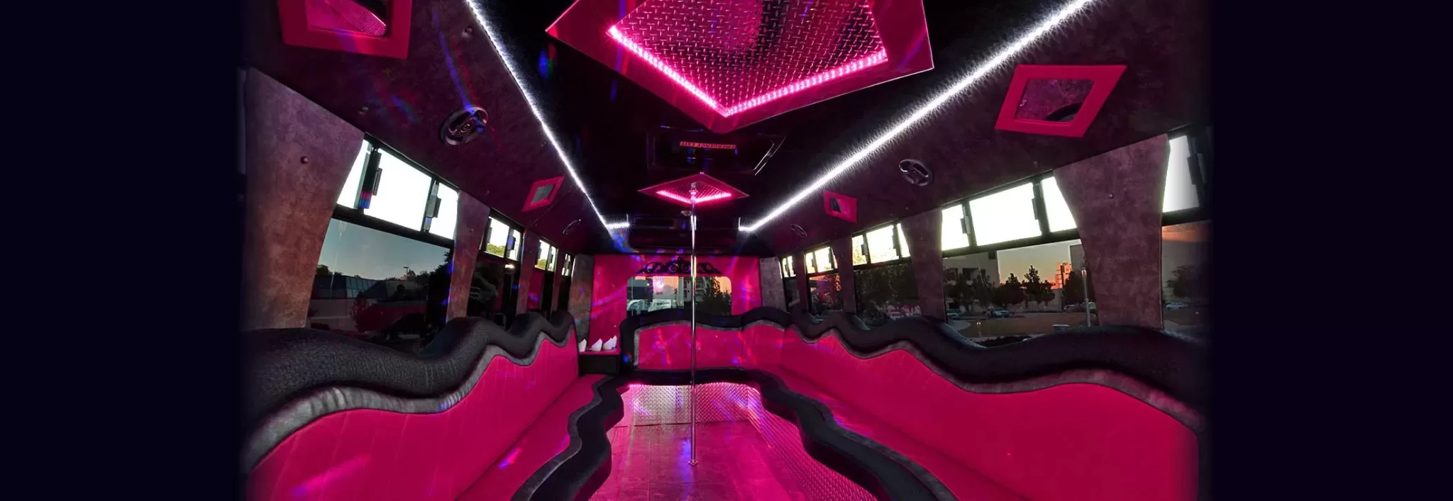 16 Passenger Party Bus