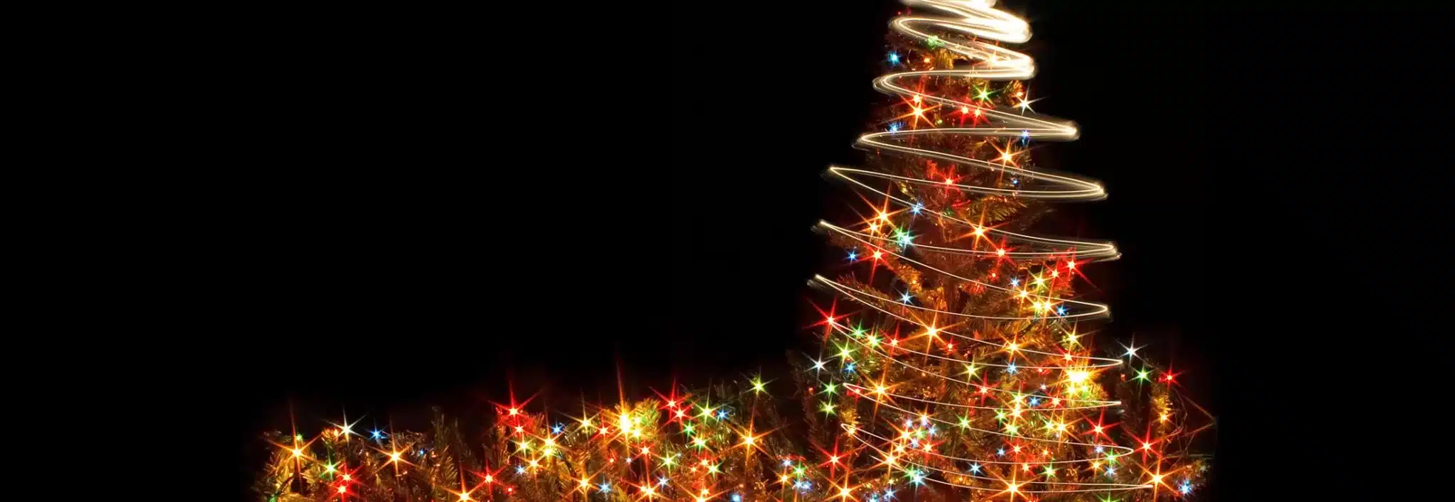Christmas Light Tours