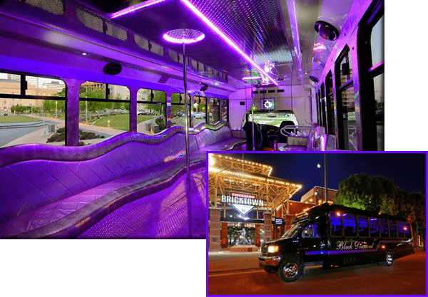 Small-Medium Sized Limo Party Buses