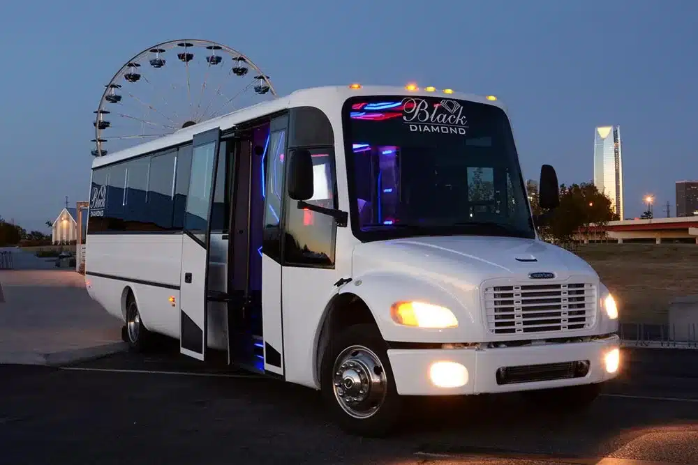 30 Passenger Premium Party Bus