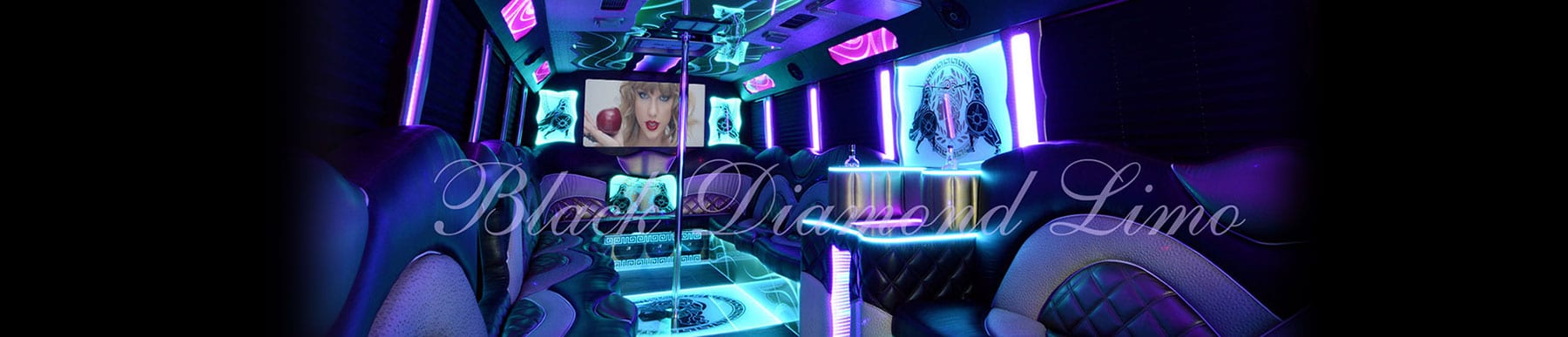 30 Passenger Premium Party Bus